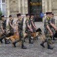 i TROUPES 5